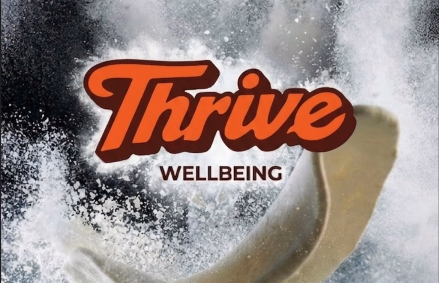 Thrive Wellbeing brand identity by Northkind